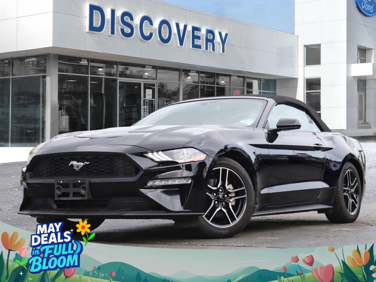 Used 2019 Ford Mustang EcoBoost Convertible | 2.3L | AUTO | NAV | 18s for sale in Burlington, ON