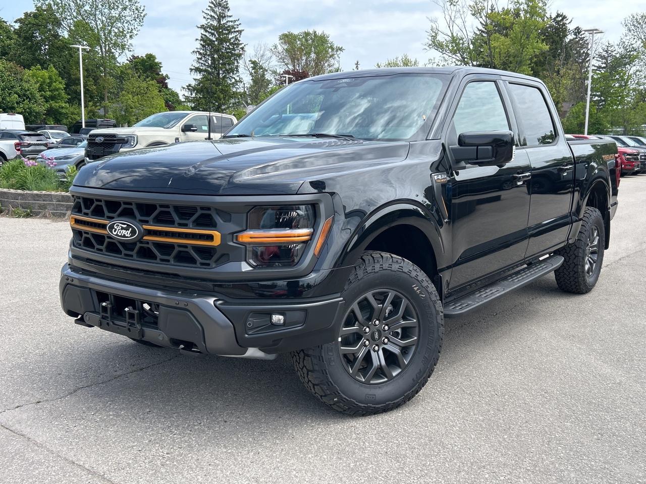 New 2025 Ford F-150 Tremor  - Sunroof for sale in Caledonia, ON