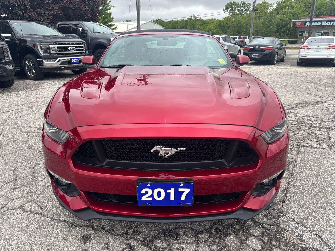 12572054