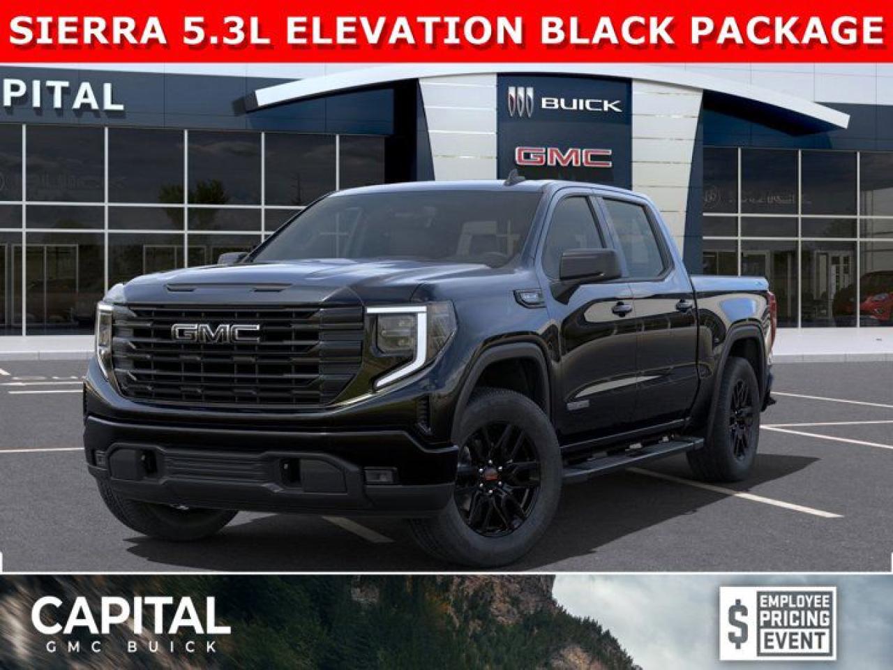 New 2025 GMC Sierra 1500 Crew Cab Elevation for sale in Edmonton, AB
