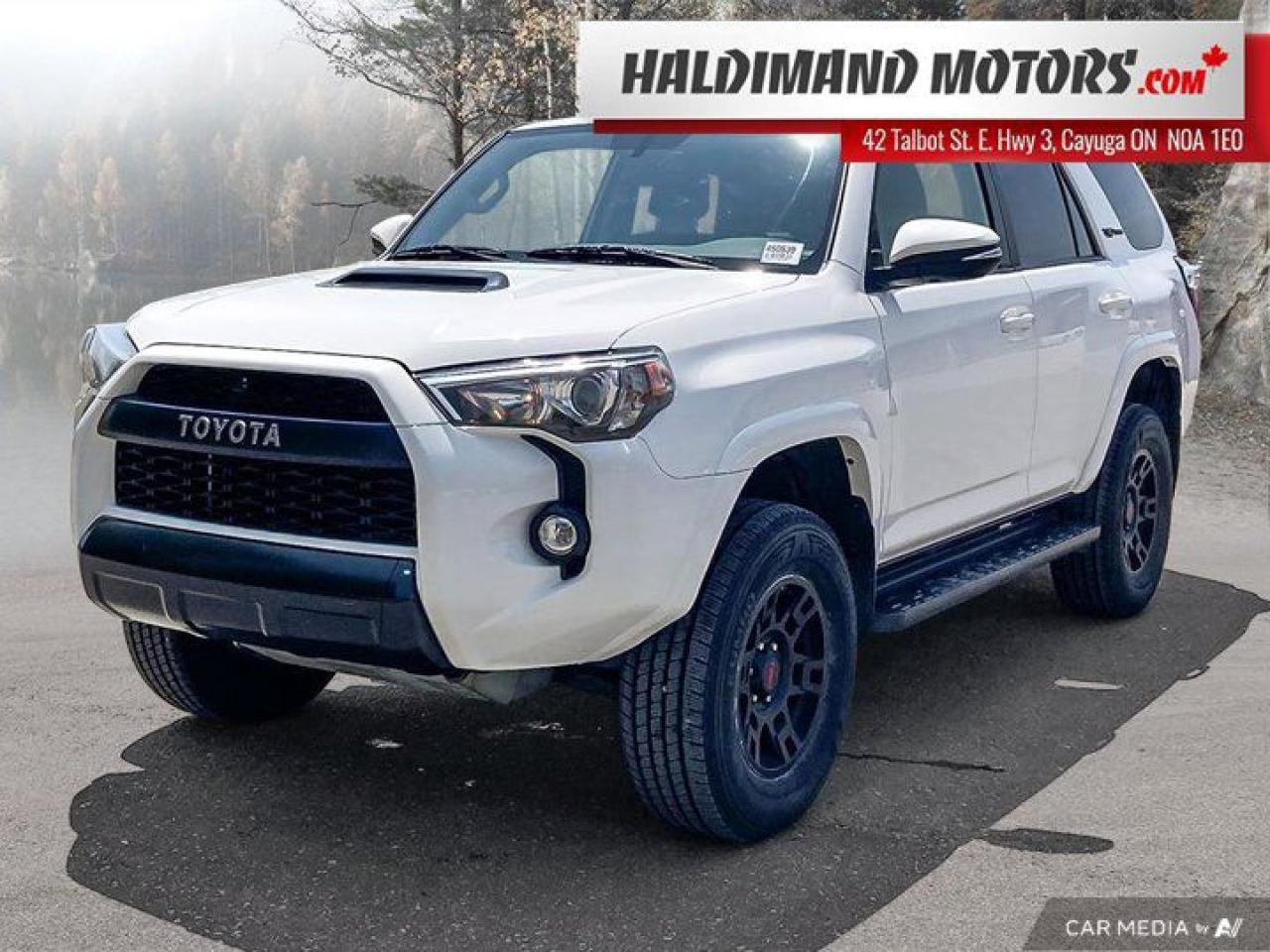Used 2019 Toyota 4Runner TRD PRO 4WD for sale in Cayuga, ON