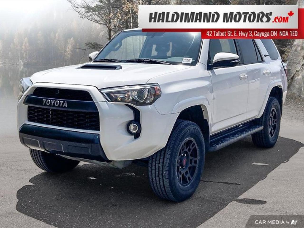 Used 2019 Toyota 4Runner TRD PRO 4WD for sale in Cayuga, ON
