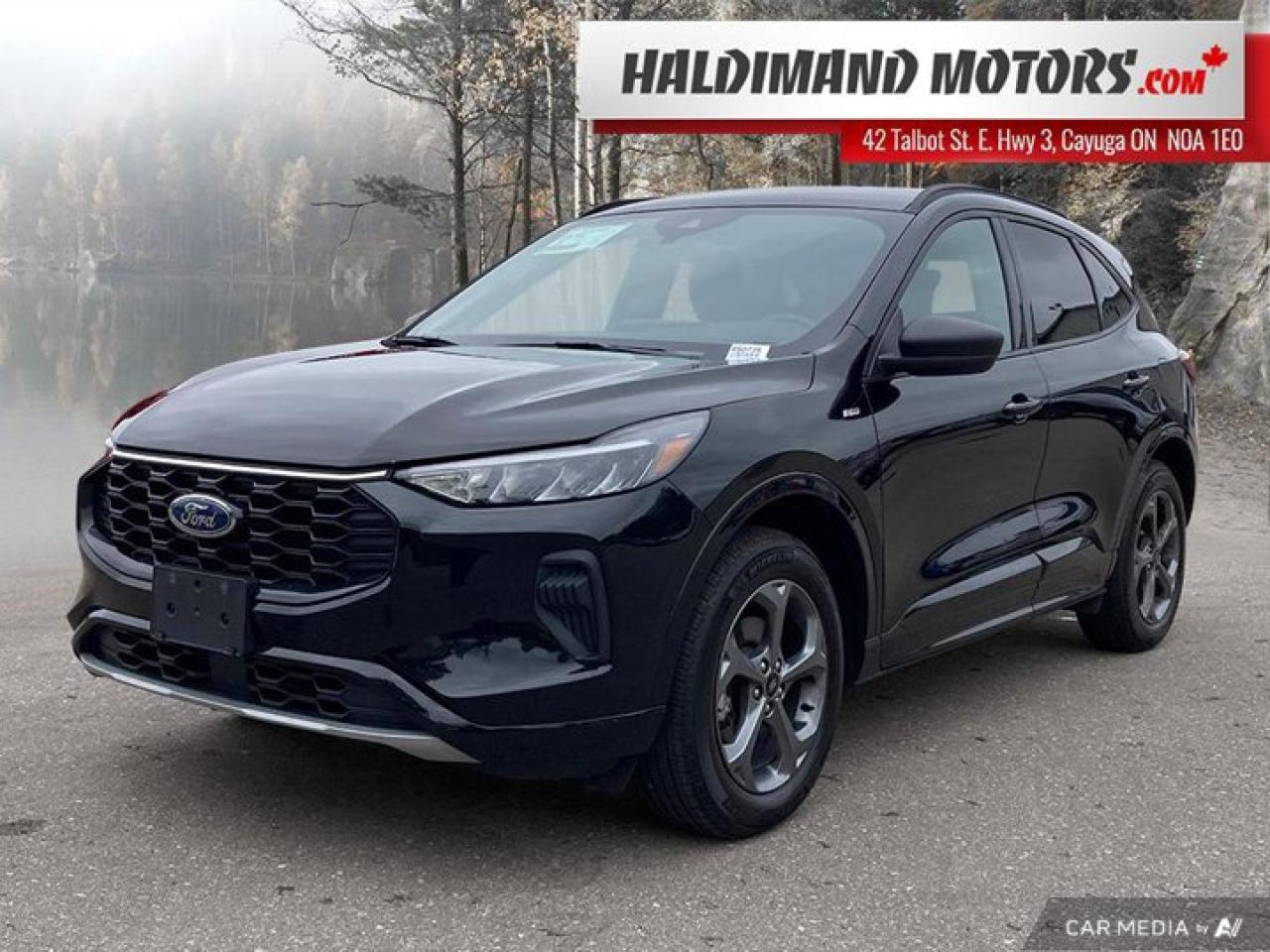 Used 2024 Ford Escape ST-Line for sale in Cayuga, ON