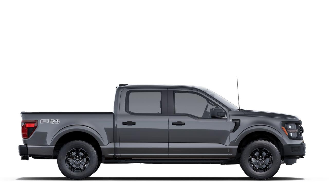 2025 Ford F-150  Photo4