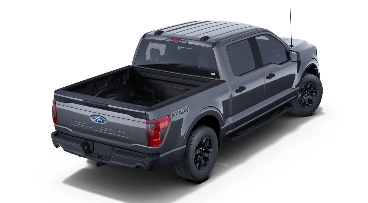 2025 Ford F-150  Photo2