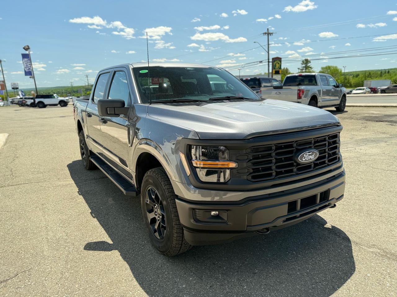 2025 Ford F-150  Photo1