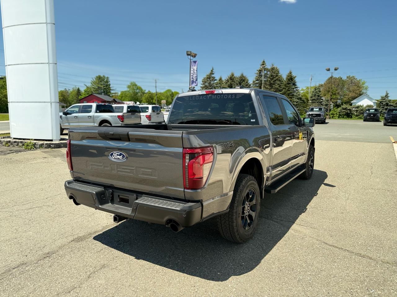 2025 Ford F-150  Photo2