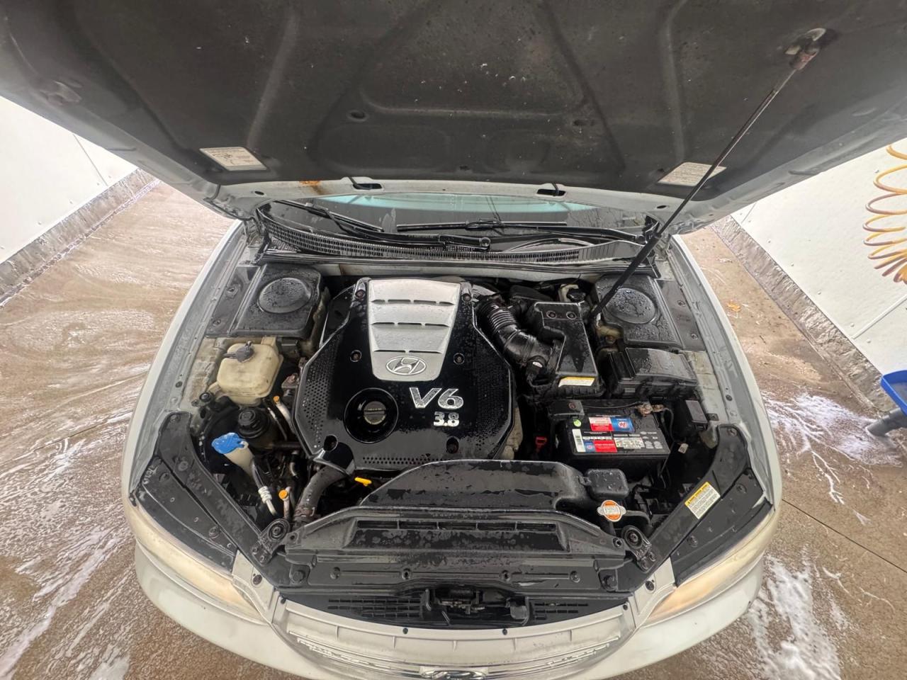 2006 Hyundai Azera AS IS, PREMIUM, WELL SERVICED, RUNS GREAT - Photo #12
