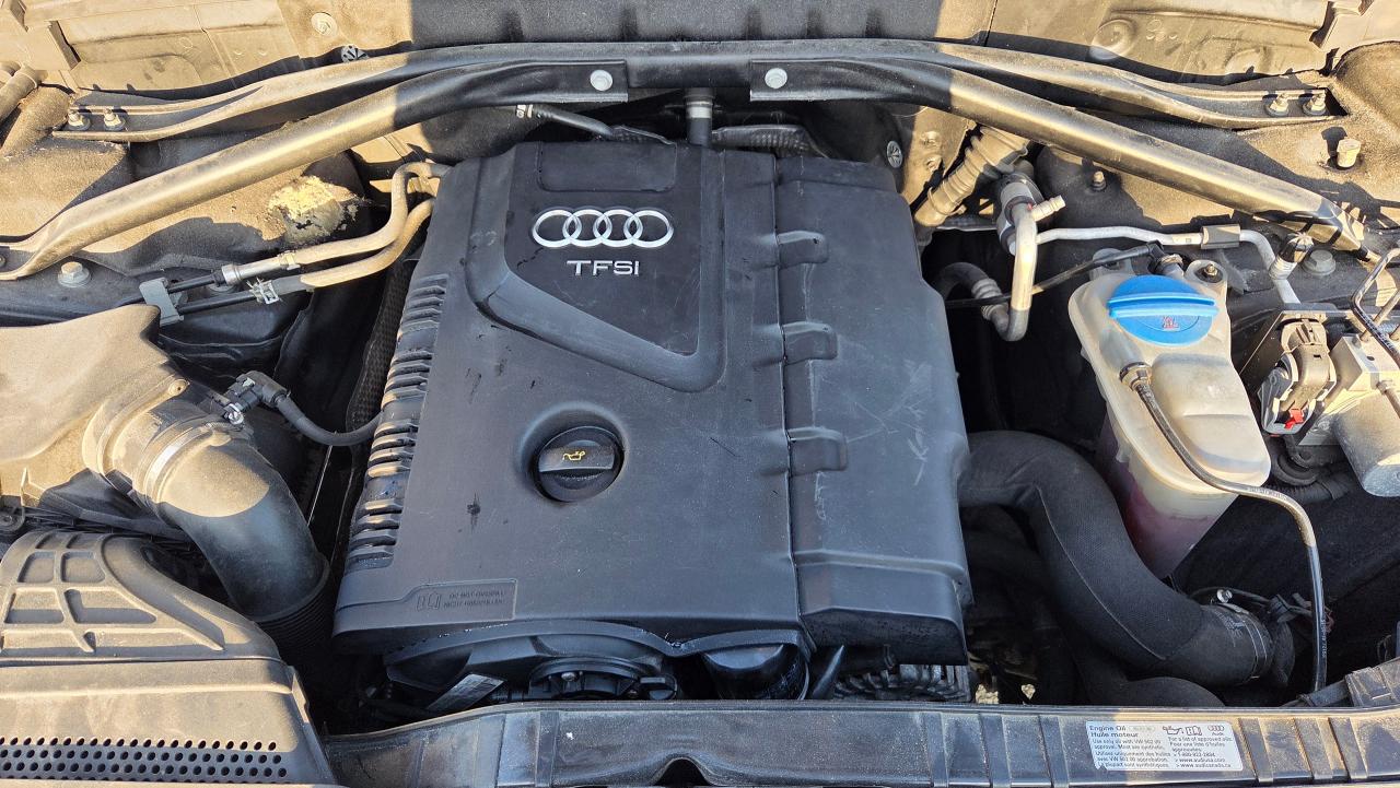 2015 Audi Q5 2.0T Progressiv - Photo #20