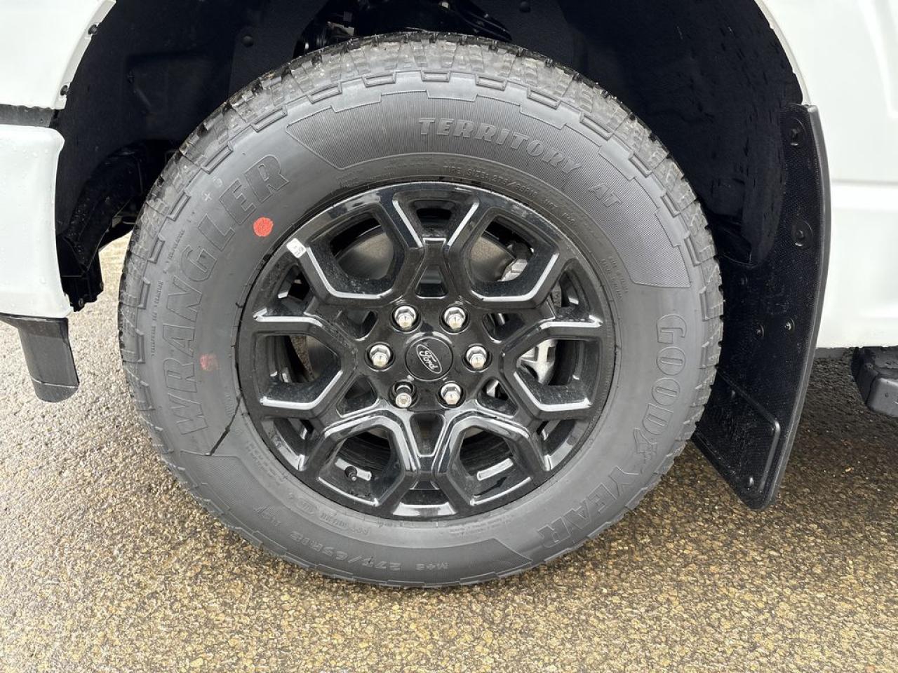 2025 Ford F-150 XLT 5.5' Box 302A Photo2