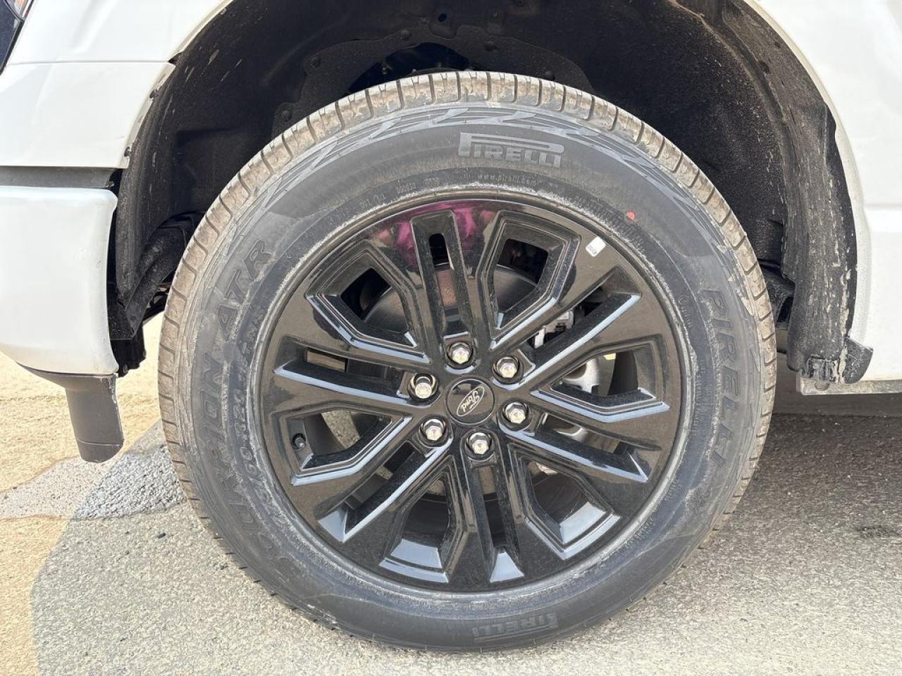 2025 Ford F-150 XLT 6.5' Box 302A Photo