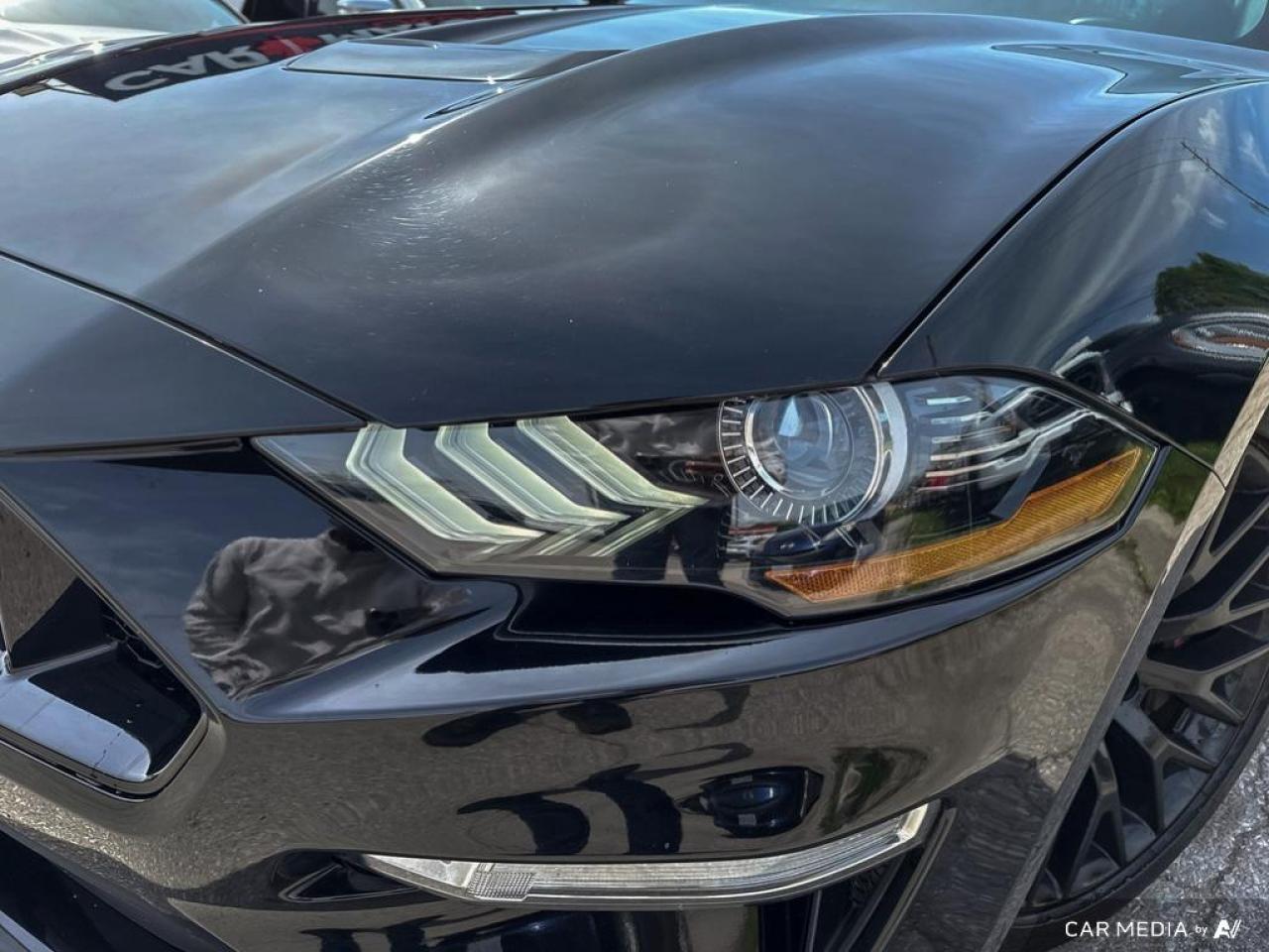 2019 Ford Mustang GT PREMIUM FASTBACK / NO ACCIDENTS / LEATHER / NAV - Photo #7