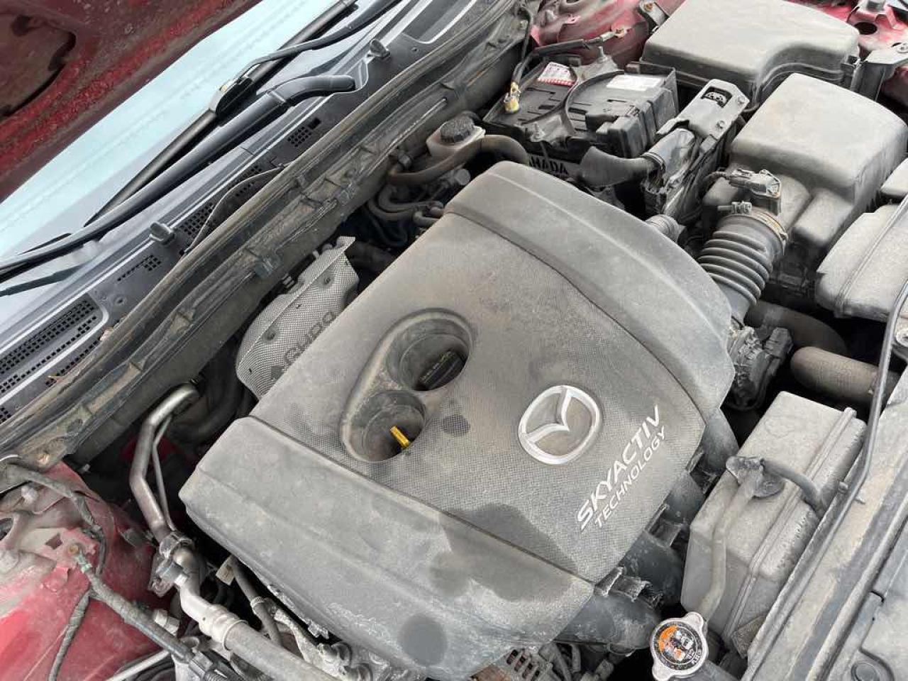 12574571