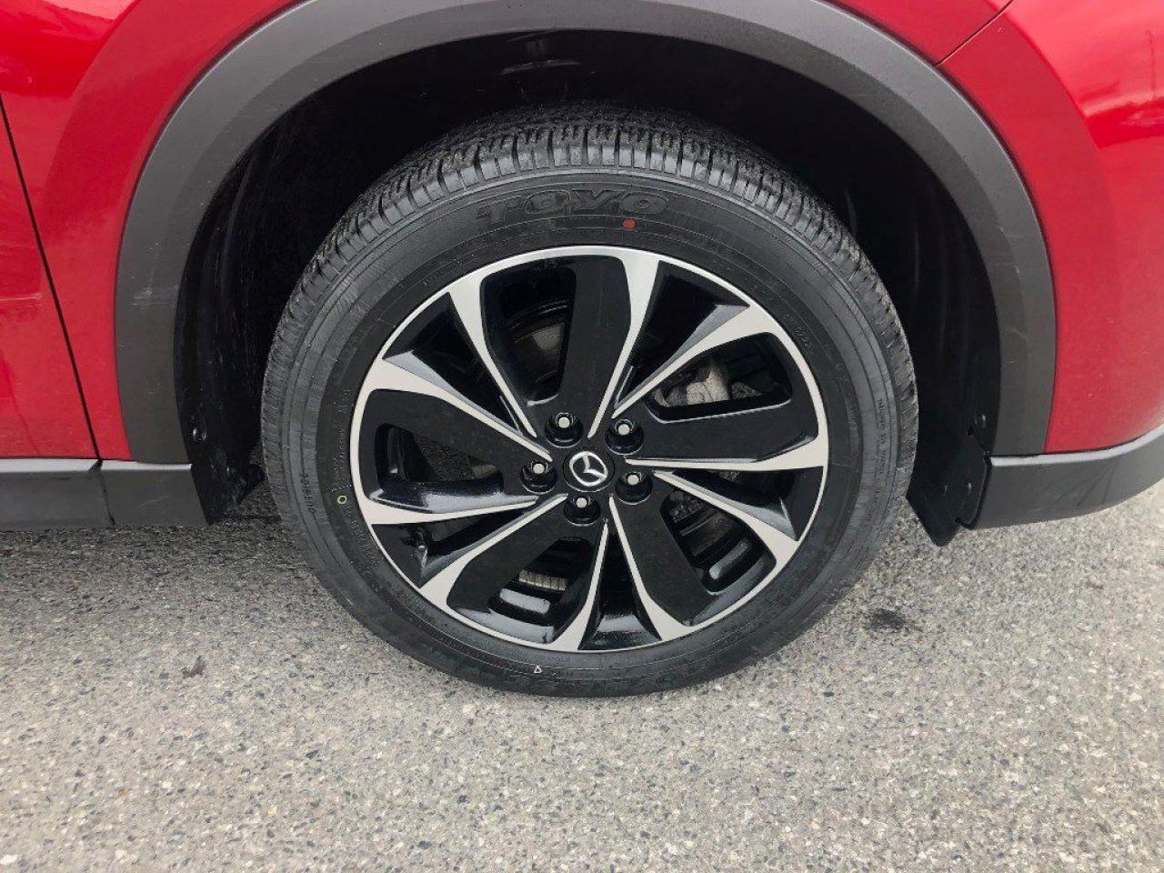12575228