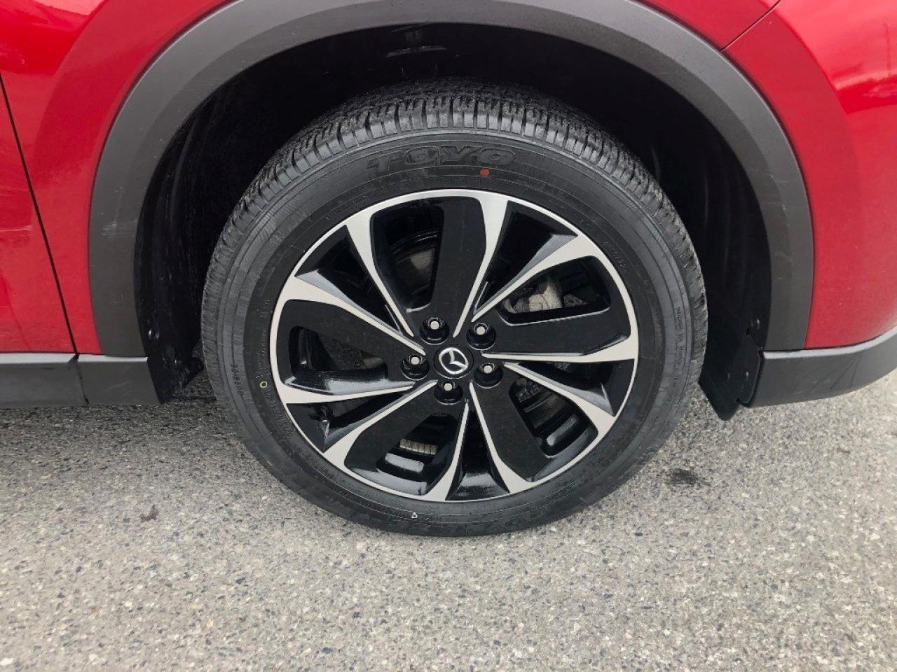 12575228