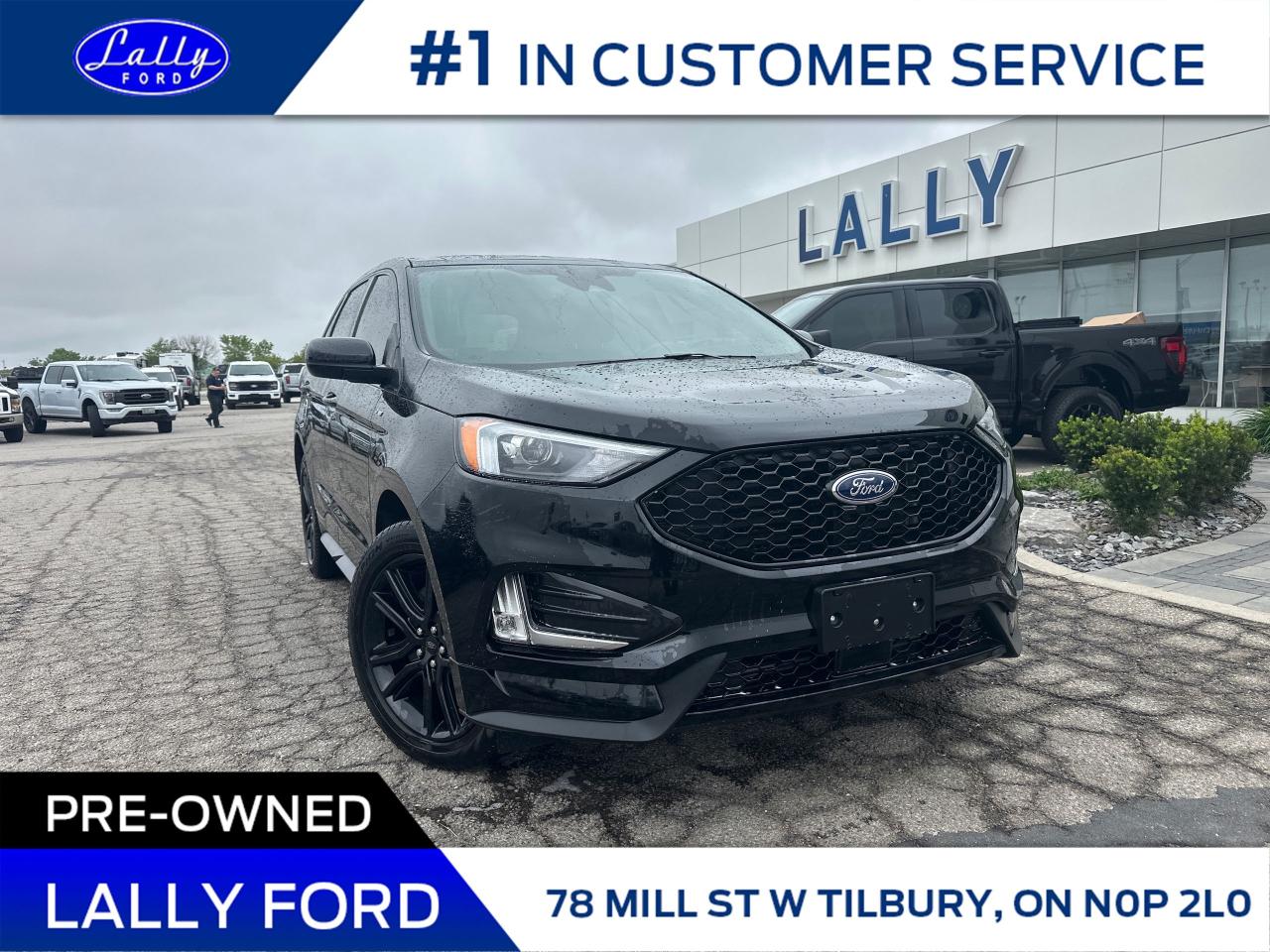 Used 2024 Ford Edge ST Line Moonroof, Nav, One Owner!! for sale in Tilbury, ON