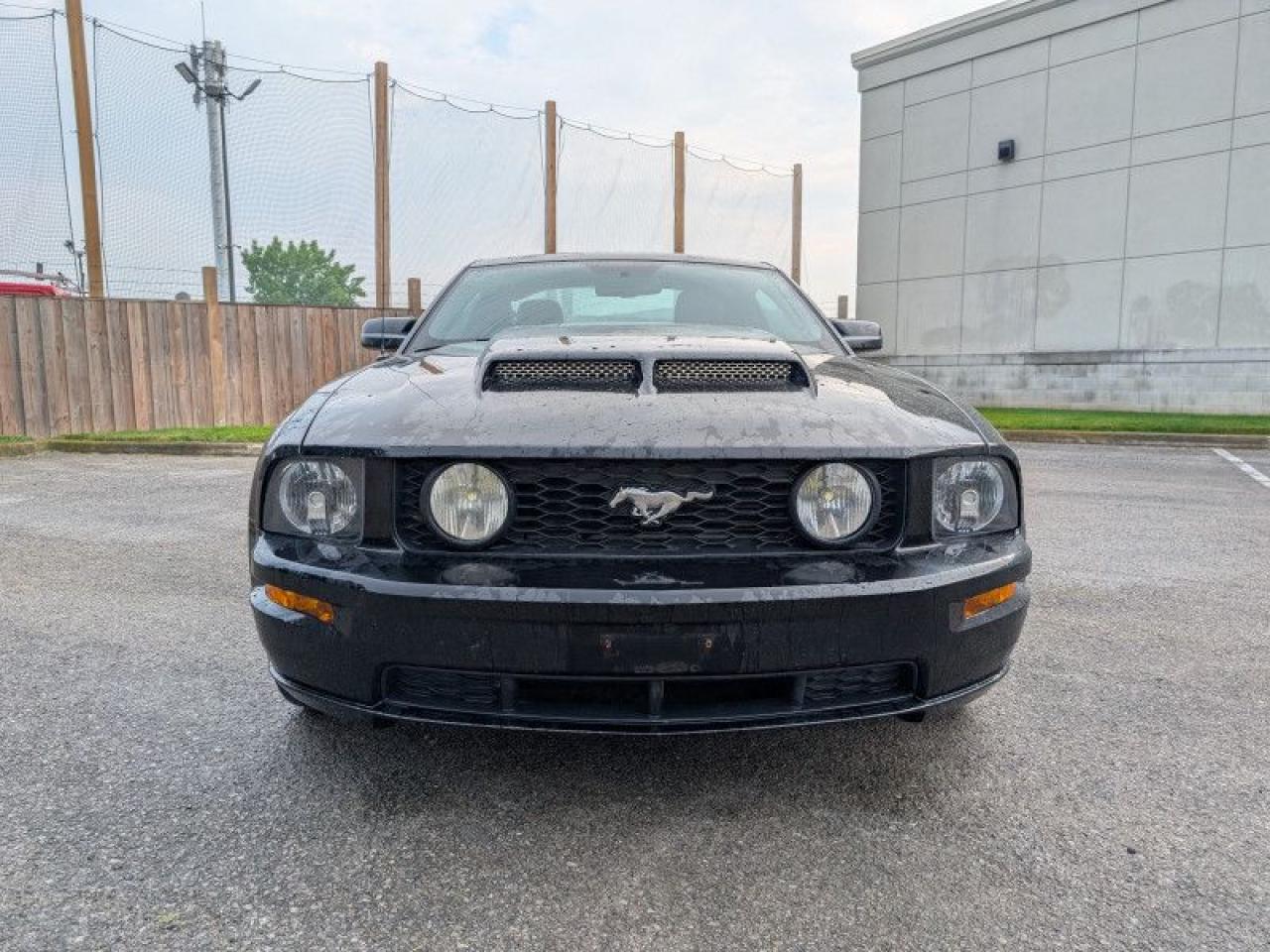 2009 Ford Mustang GT Coupe  **GLASS ROOF - RED LEATHER** Photo