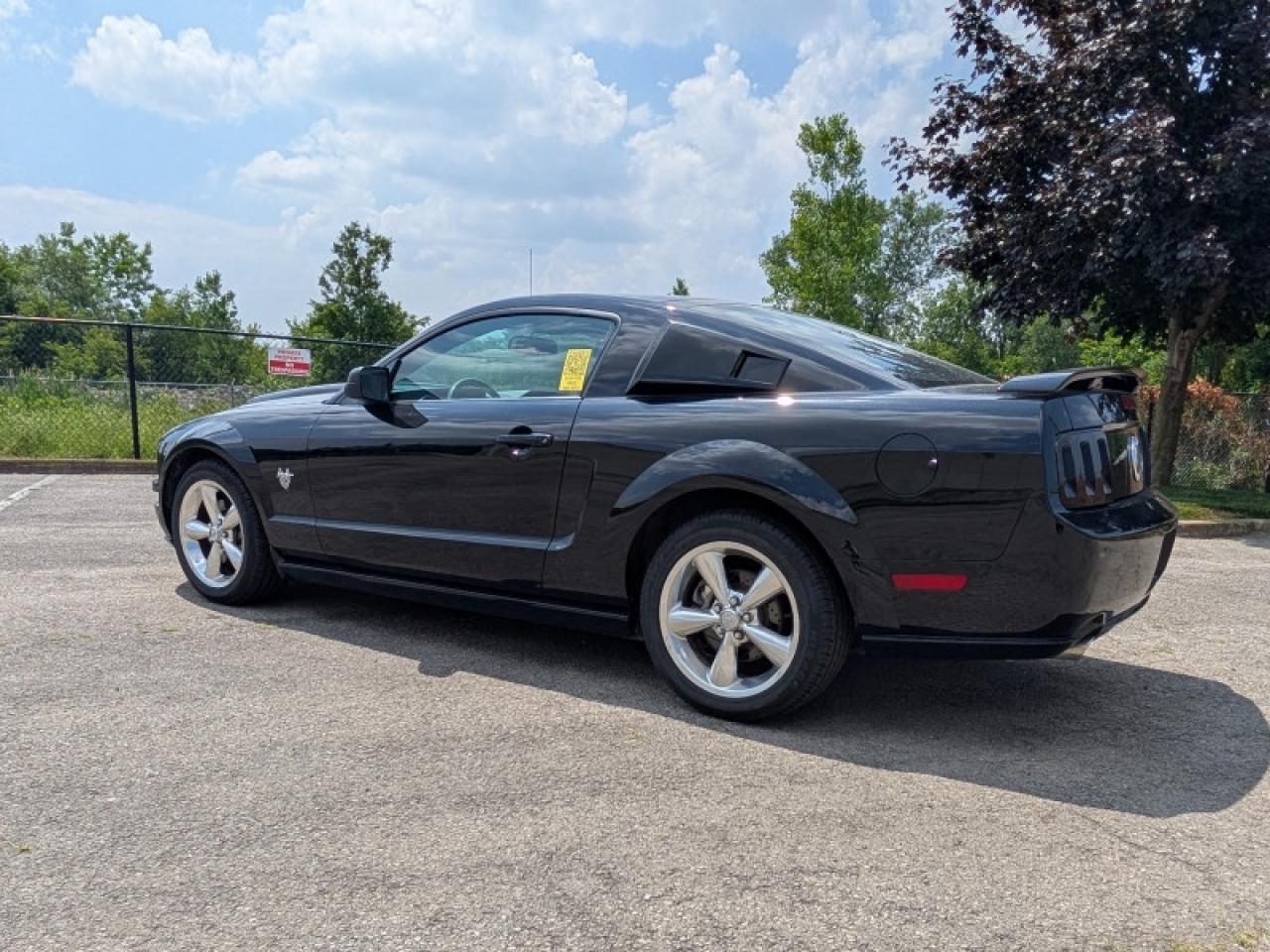 2009 Ford Mustang GT Coupe  **GLASS ROOF - RED LEATHER** Photo2