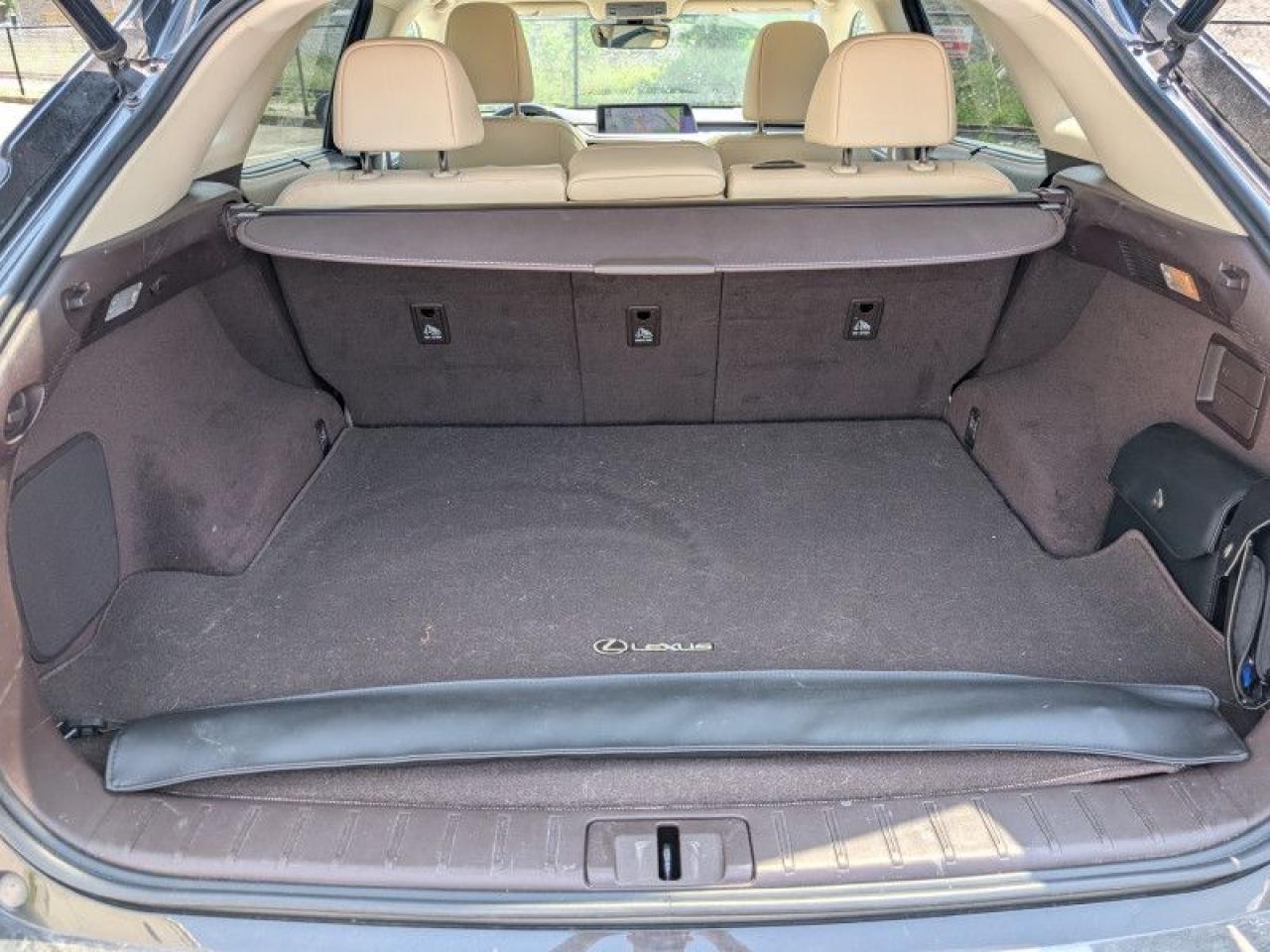 2019 Lexus RX 350  **LOW KMS - 1 OWNER** Photo