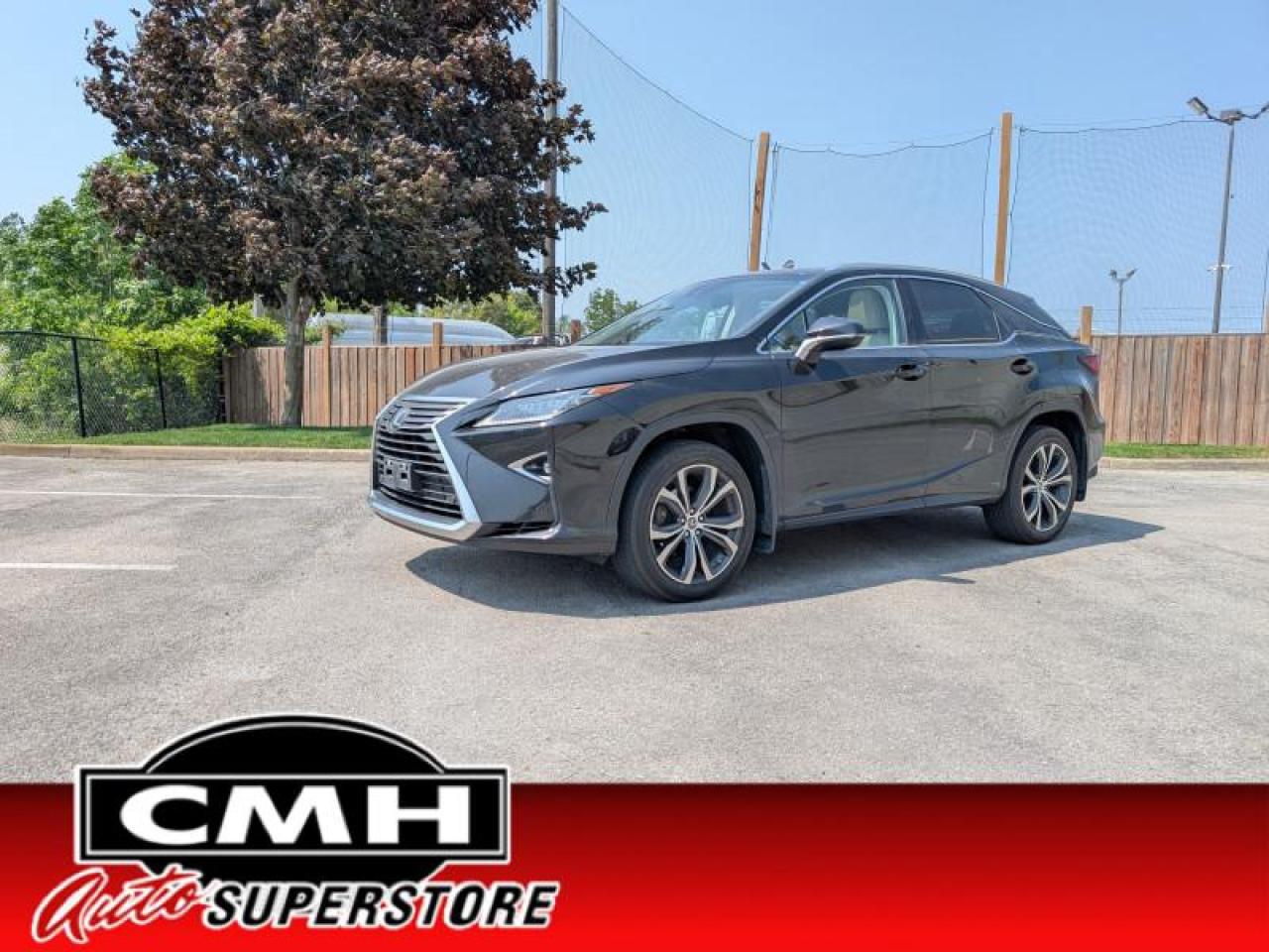 2019 Lexus RX 350  **LOW KMS - 1 OWNER** Photo0