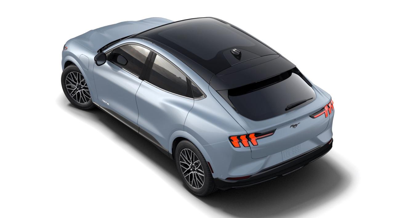 2024 Ford Mustang Mach-E Premium Photo1