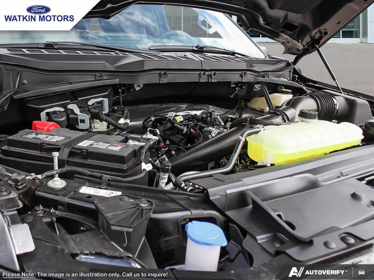 2025 Ford F-150 XLT Photo24