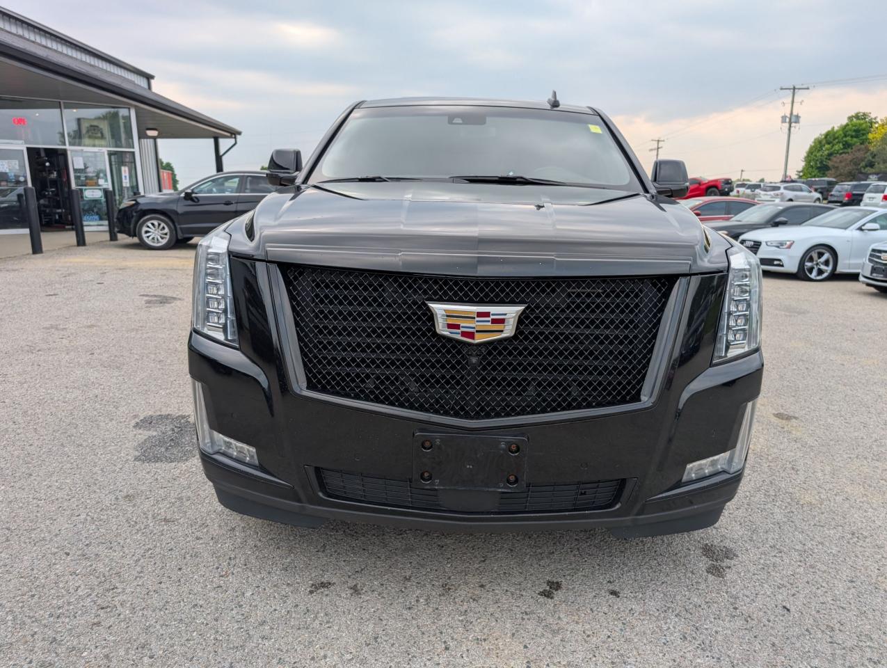 2017 Cadillac Escalade Platinum - Photo #8