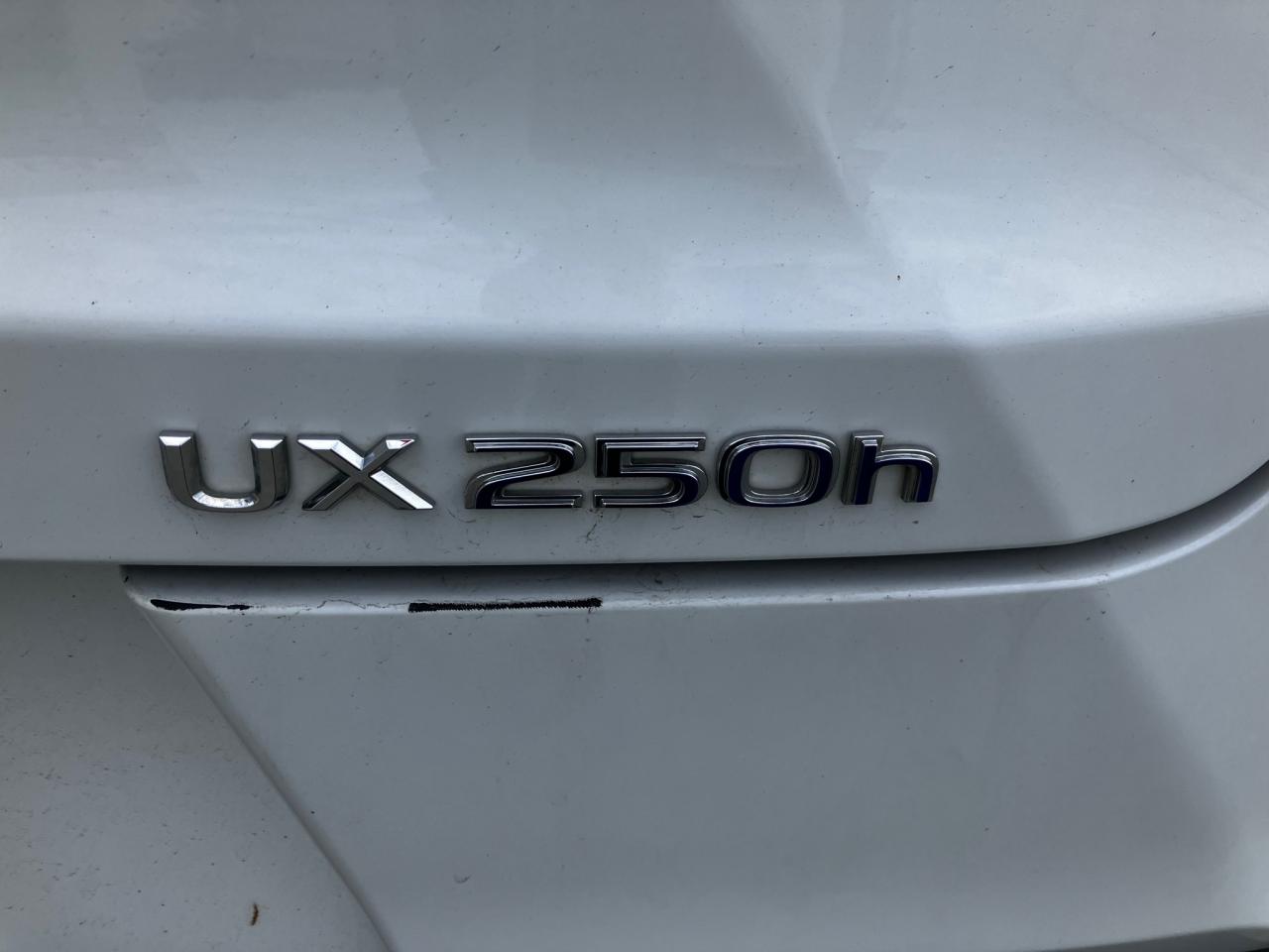 12579092