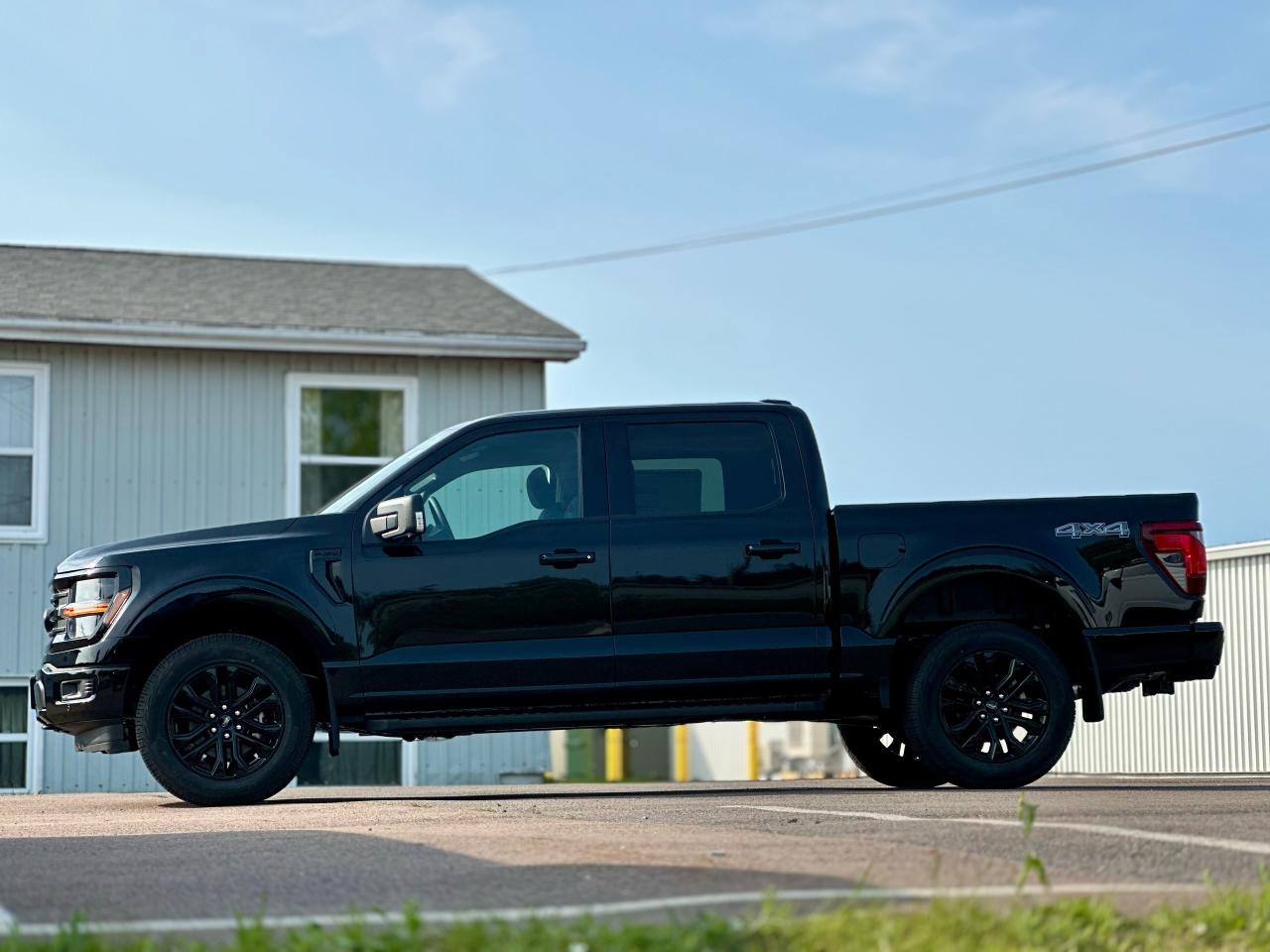 2025 Ford F-150 XLT 4WD SuperCrew 5.5' Box Photo3