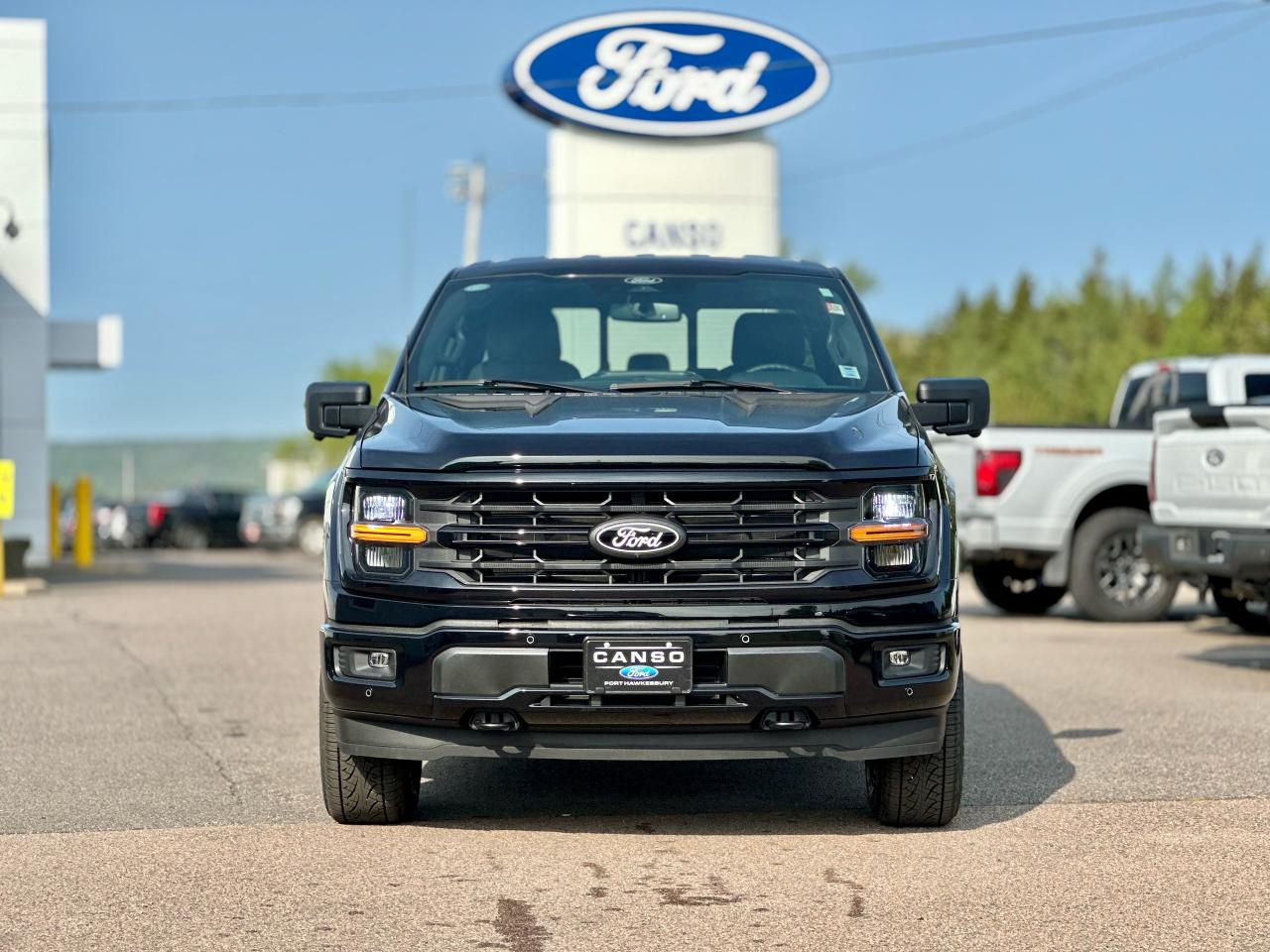 2025 Ford F-150 XLT 4WD SuperCrew 5.5' Box Photo1