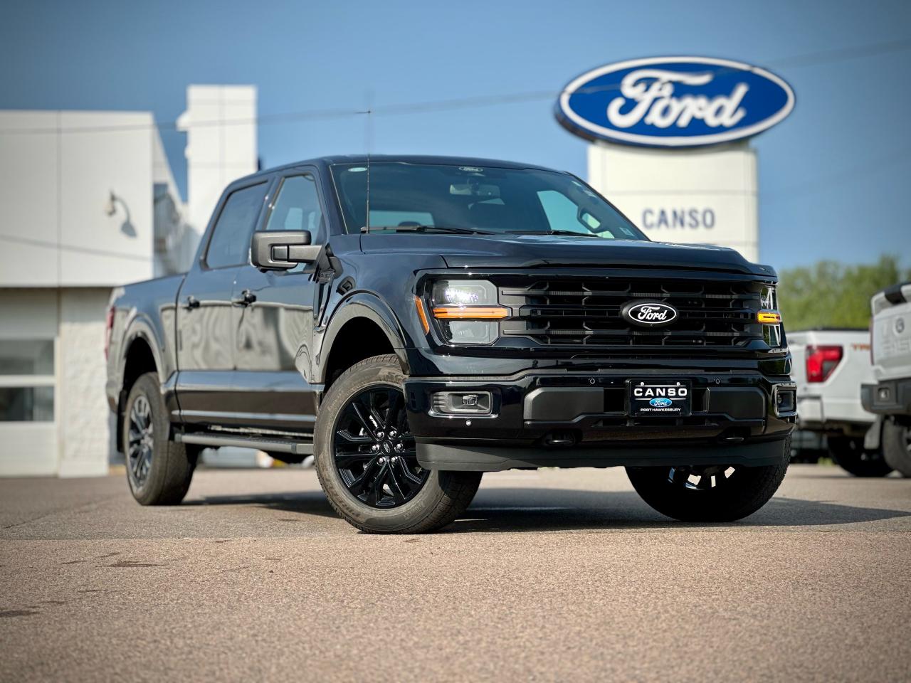 2025 Ford F-150 XLT 4WD SuperCrew 5.5' Box Photo0