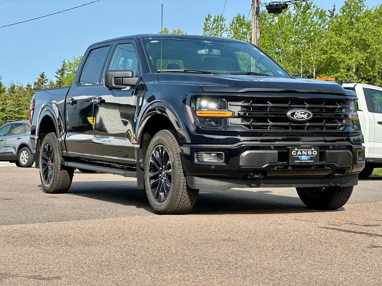 2025 Ford F-150 XLT 4WD SuperCrew 5.5' Box Photo5