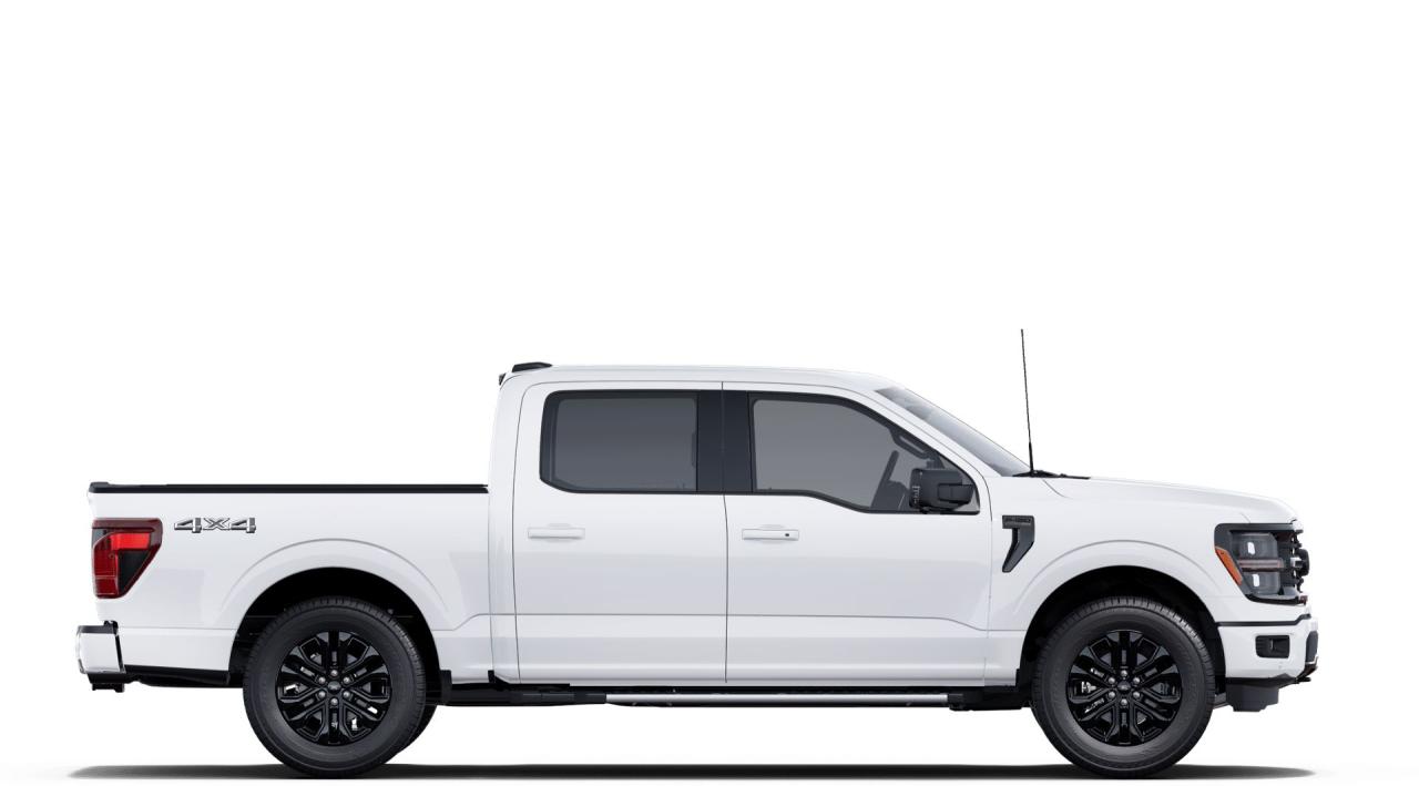 2025 Ford F-150 XLT 4WD SuperCrew 5.5' Box Photo4