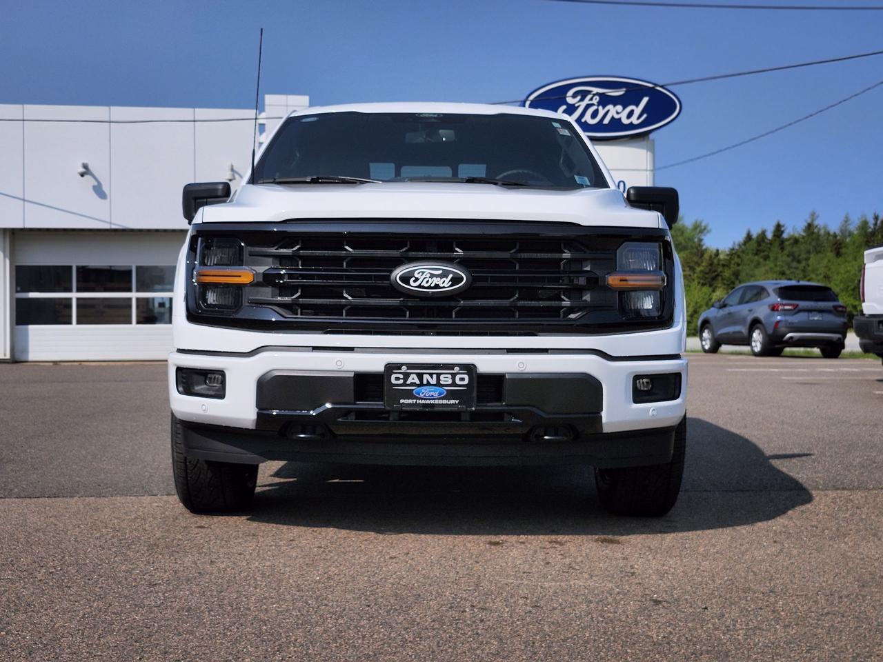 2025 Ford F-150 XLT 4WD SuperCrew 5.5' Box Photo1
