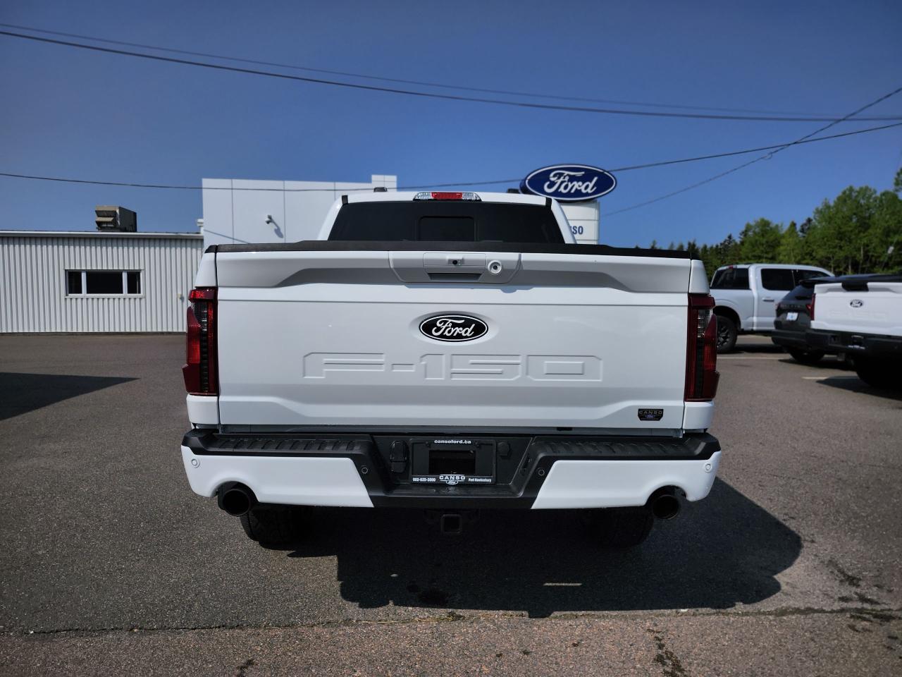 2025 Ford F-150 XLT 4WD SuperCrew 5.5' Box Photo5