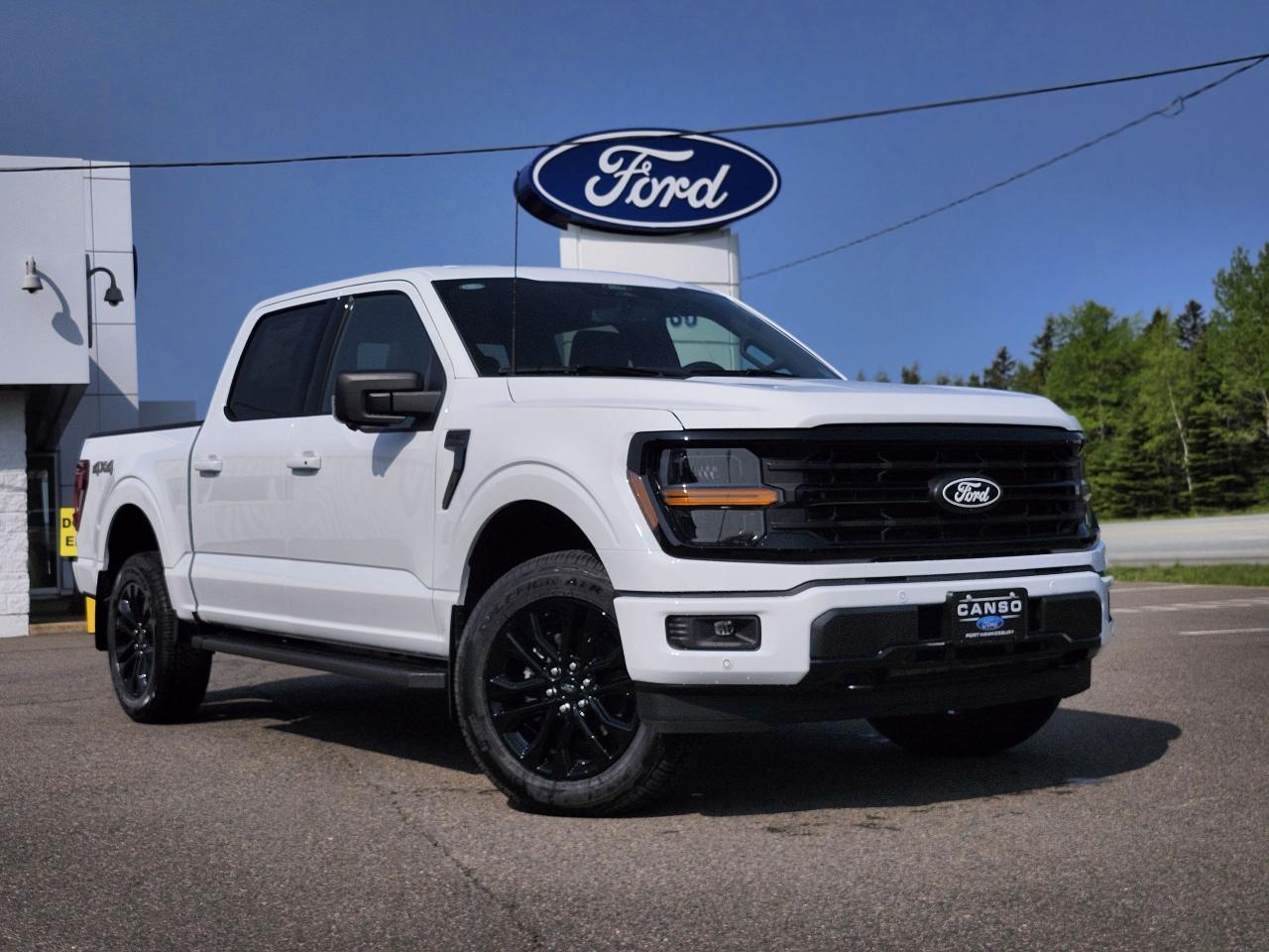 2025 Ford F-150 XLT 4WD SuperCrew 5.5' Box Photo0