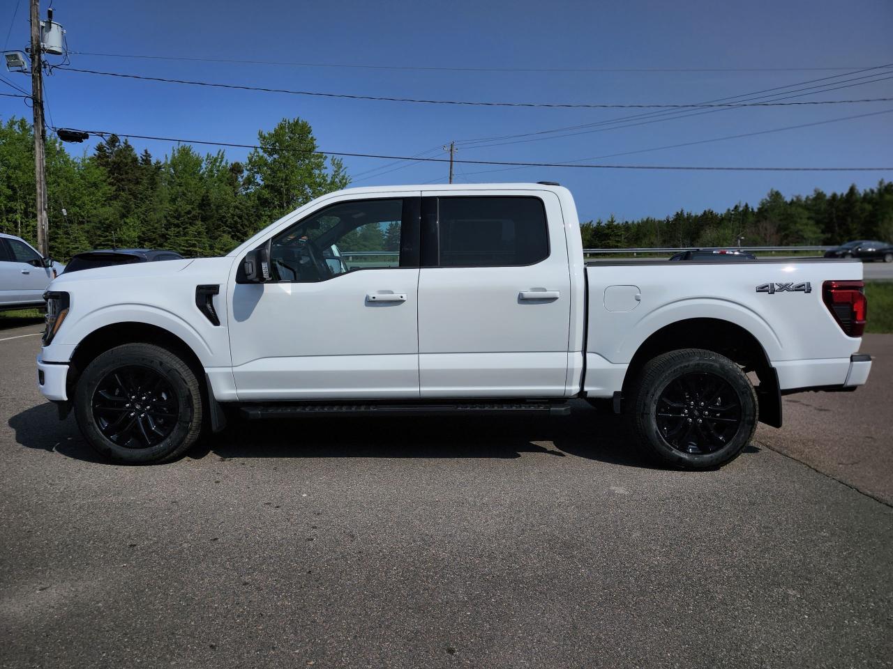 2025 Ford F-150 XLT 4WD SuperCrew 5.5' Box Photo5