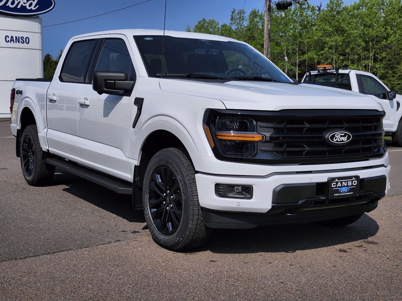 2025 Ford F-150 XLT 4WD SuperCrew 5.5' Box Photo2