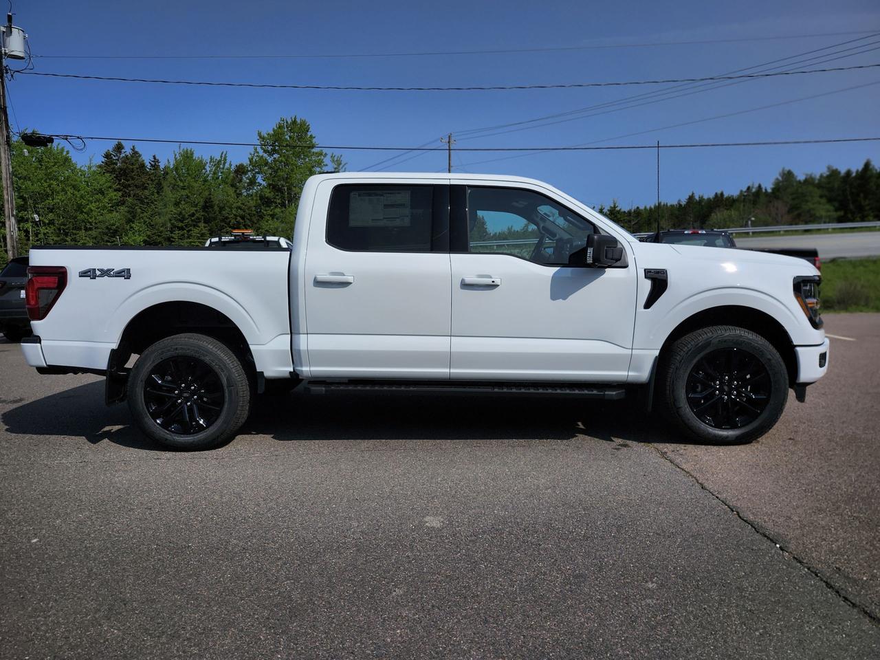 2025 Ford F-150 XLT 4WD SuperCrew 5.5' Box Photo3