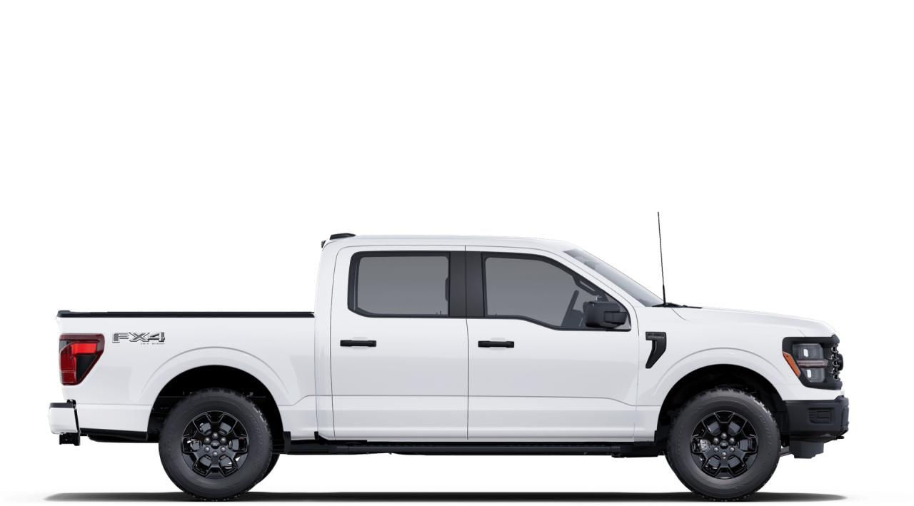 2025 Ford F-150 4X4 SUPERCREW - 145 Photo4