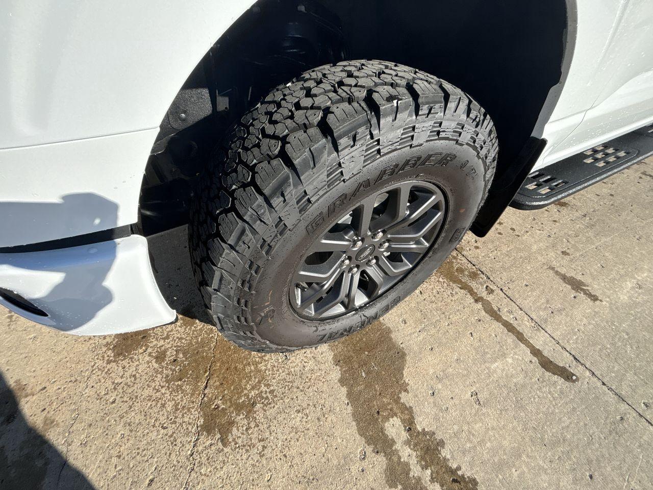 2025 Ford F-150 Tremor 4WD SuperCrew 5.5' Box Photo5