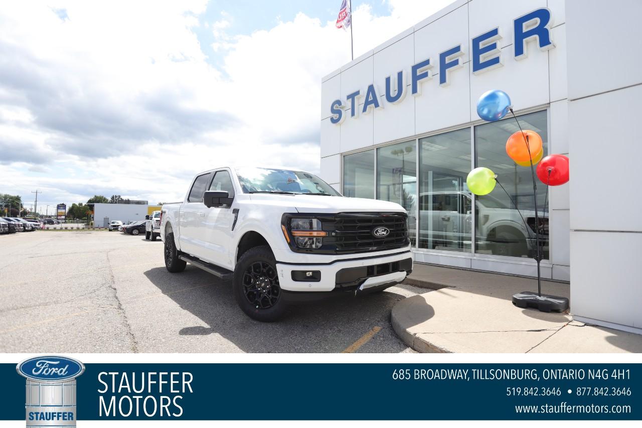 2025 Ford F-150 XLT 4WD SuperCrew 5.5' Box Photo