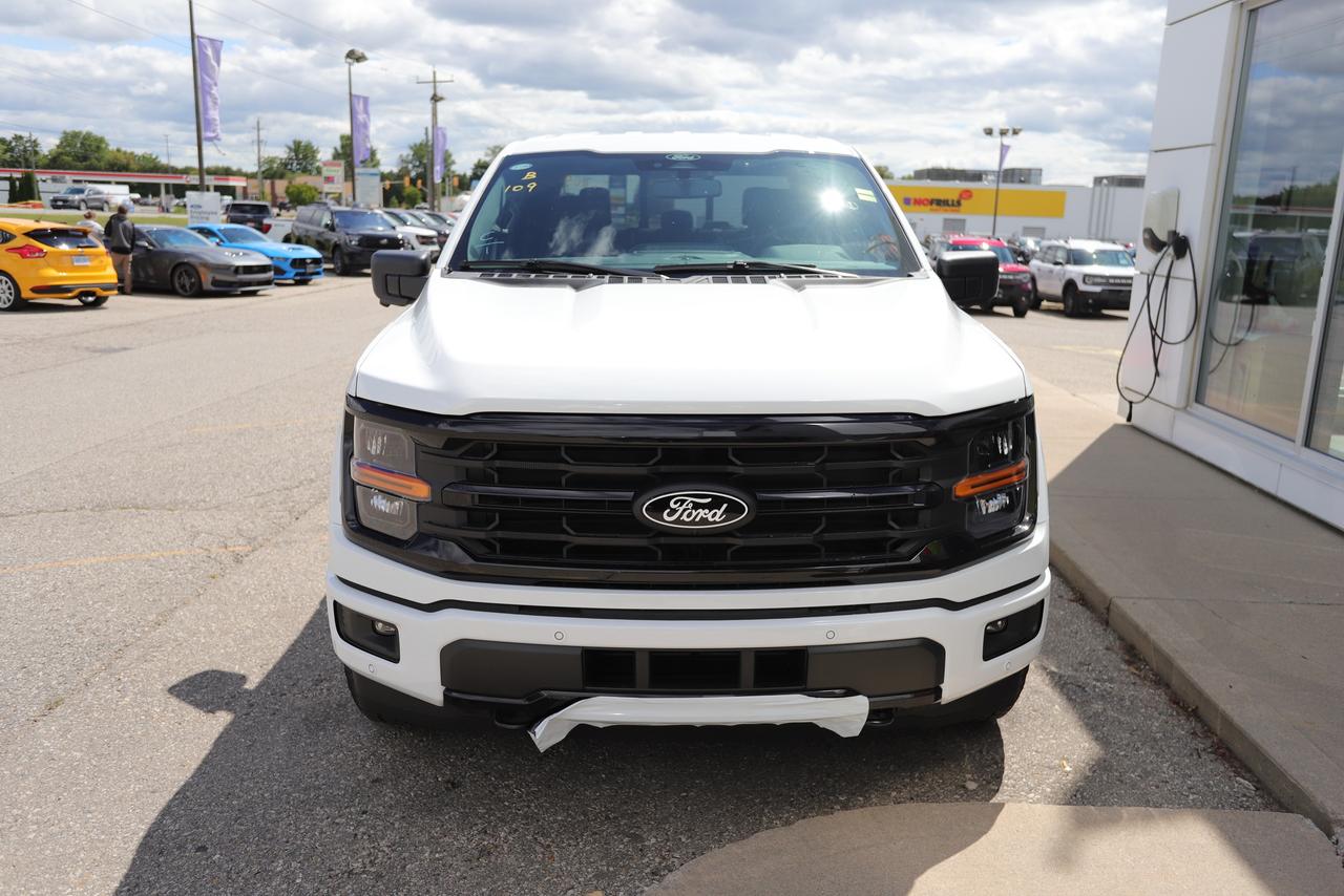 2025 Ford F-150 XLT 4WD SuperCrew 5.5' Box Photo