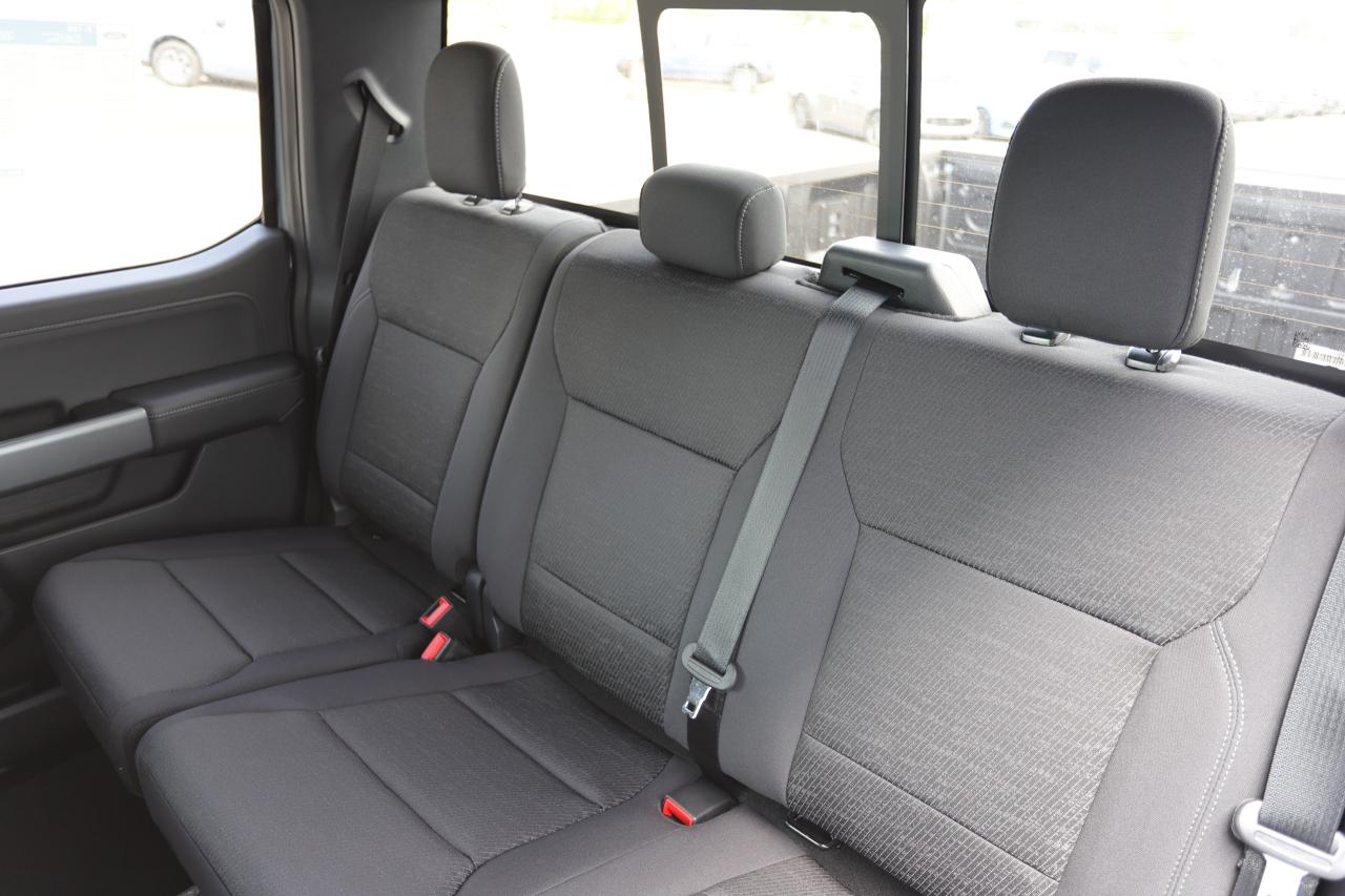 2025 Ford F-150 XLT 4WD SuperCrew 5.5' Box Photo5