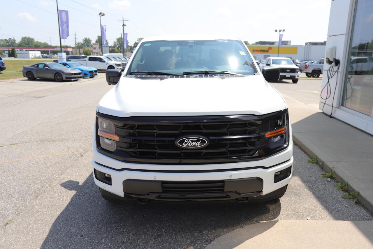 2025 Ford F-150 XLT 4WD SuperCrew 5.5' Box Photo5