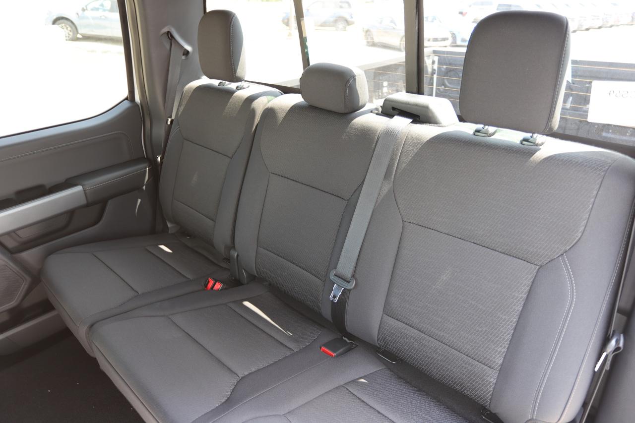 2025 Ford F-150 XLT 4WD SuperCrew 5.5' Box Photo5