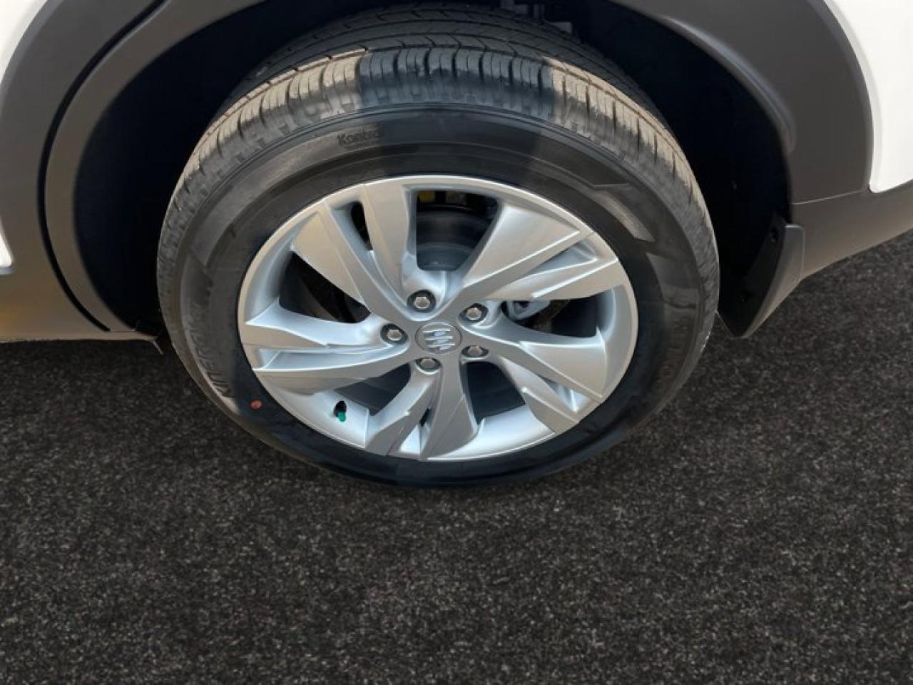 12582629