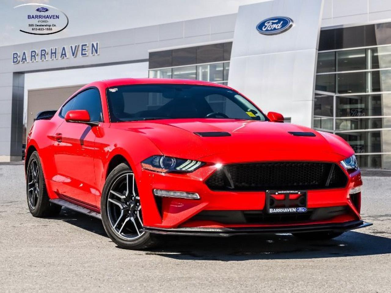 Used 2019 Ford Mustang EcoBoost for sale in Ottawa, ON