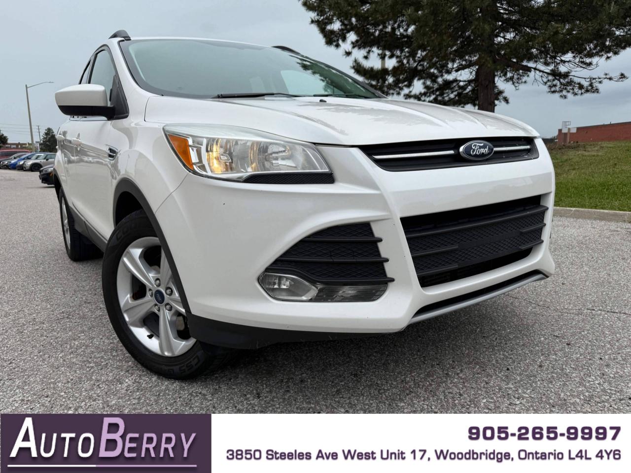 Used 2014 Ford Escape FWD 4dr SE for sale in Woodbridge, ON