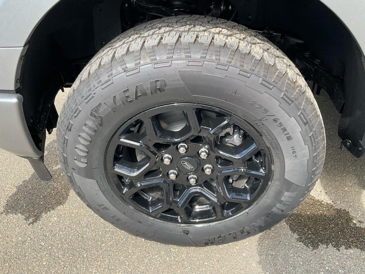2025 Ford F-150 XLT Photo5